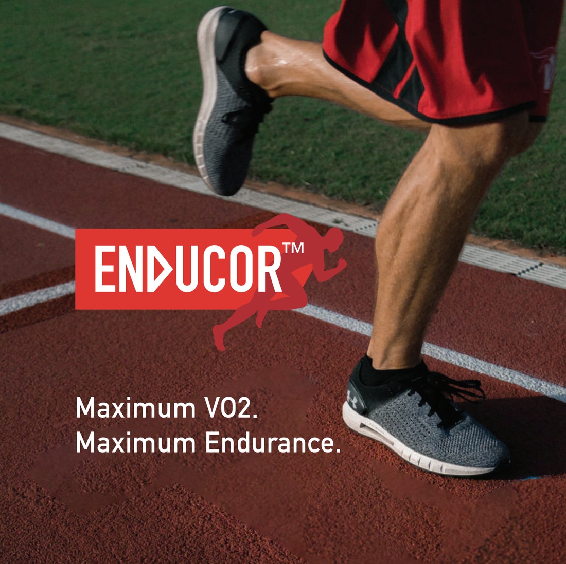 Enducor