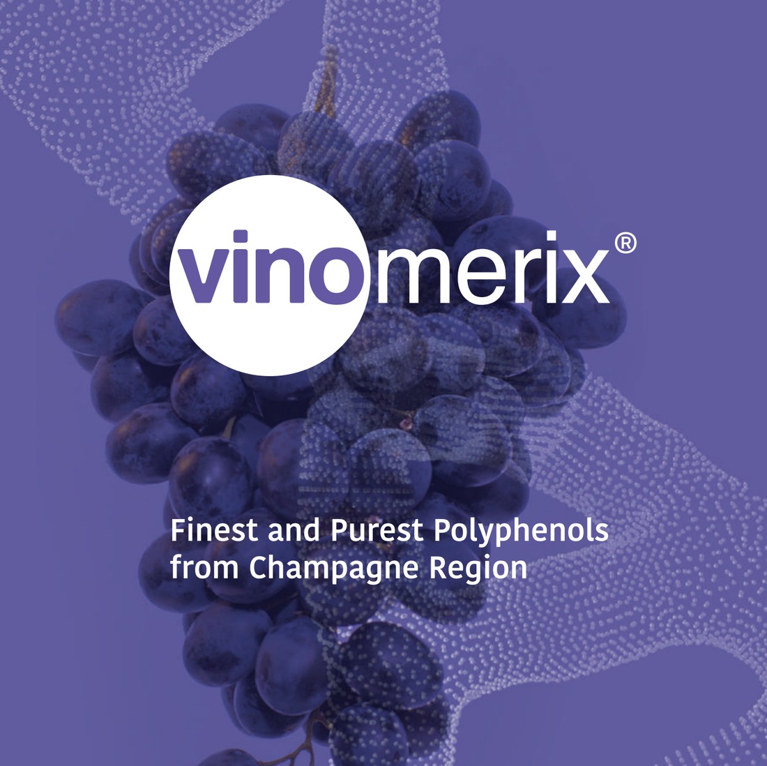 Vinomerix